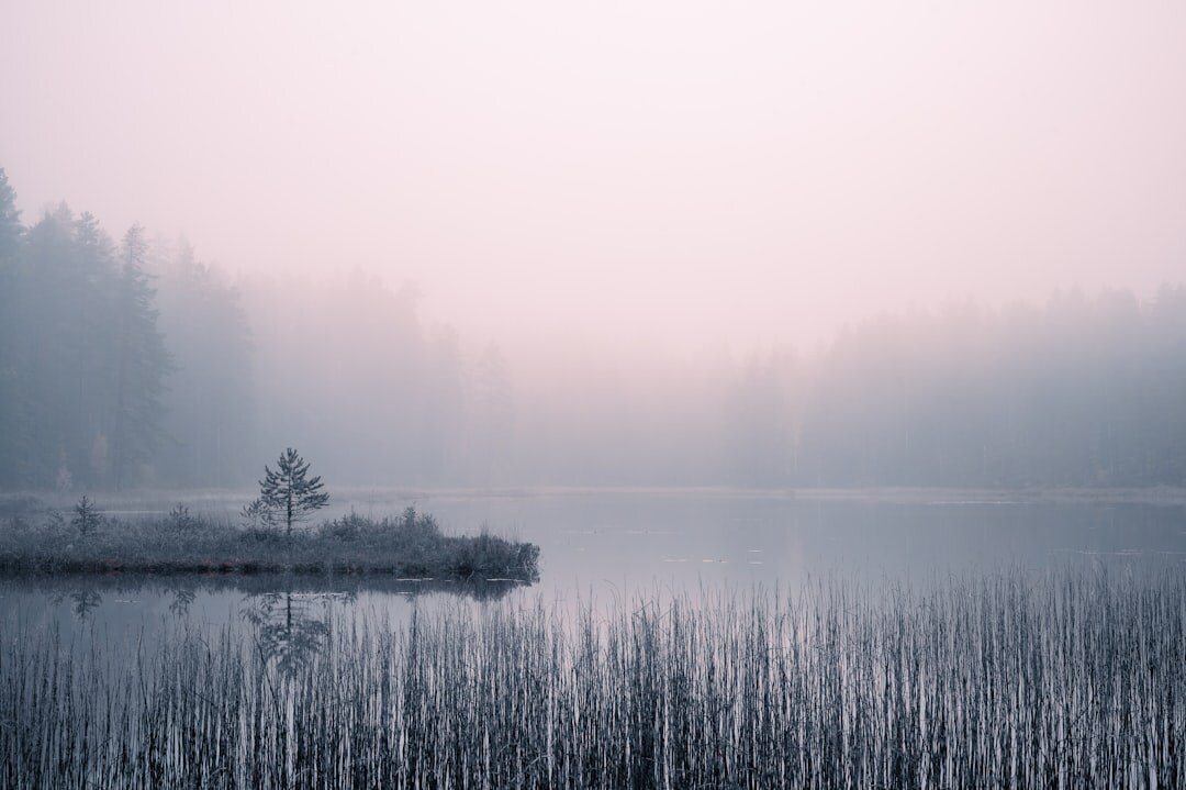 Sunrise over a misty Danish forest lake