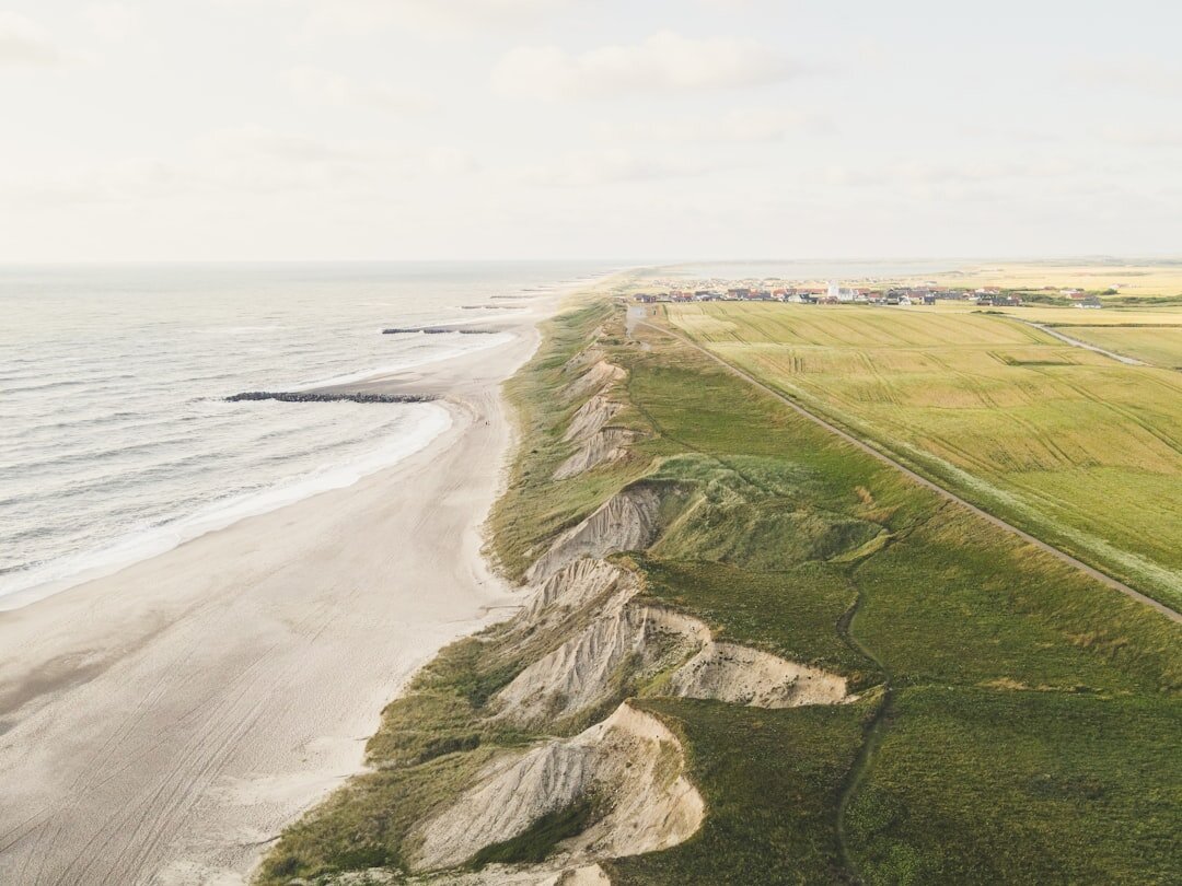 Foggy coastal landscape on the Danish west coast